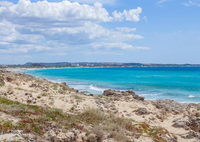 Machiavelli 갈리폴리