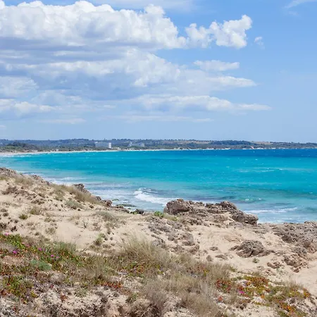 Machiavelli Gallipolli